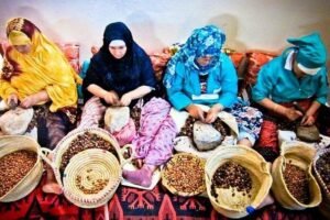 Berber Women Argan Cooperative Mountains