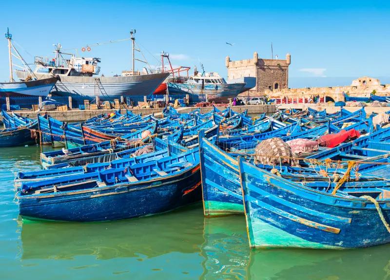 Blue Fishing Boats Essaouira Harbor