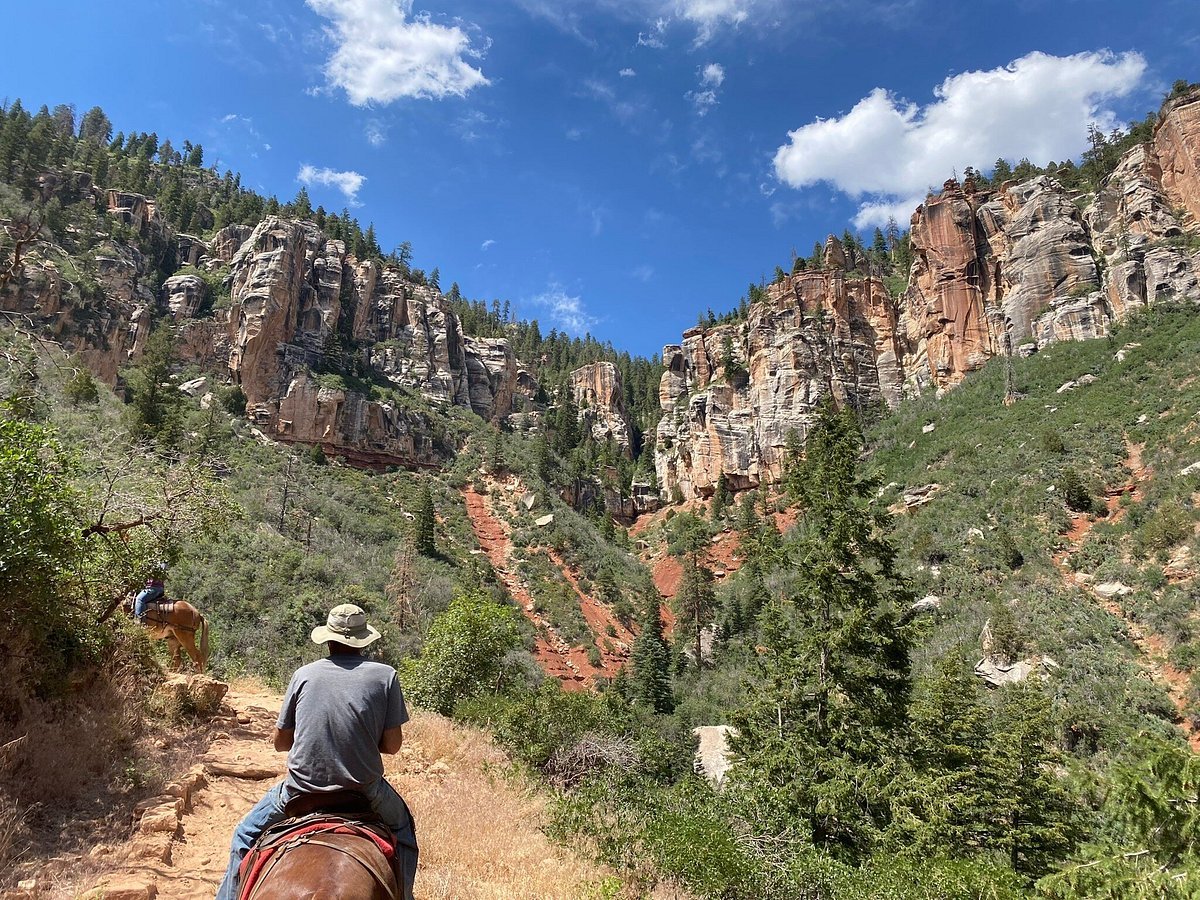 Optional Mule Ride