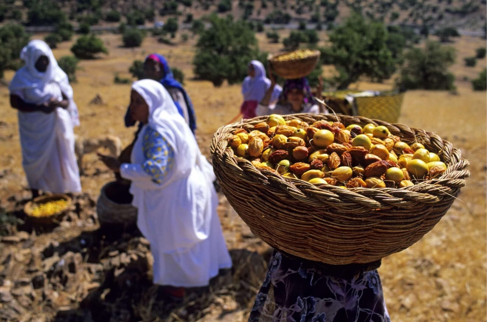 Women Argan Cooperative Traditional
