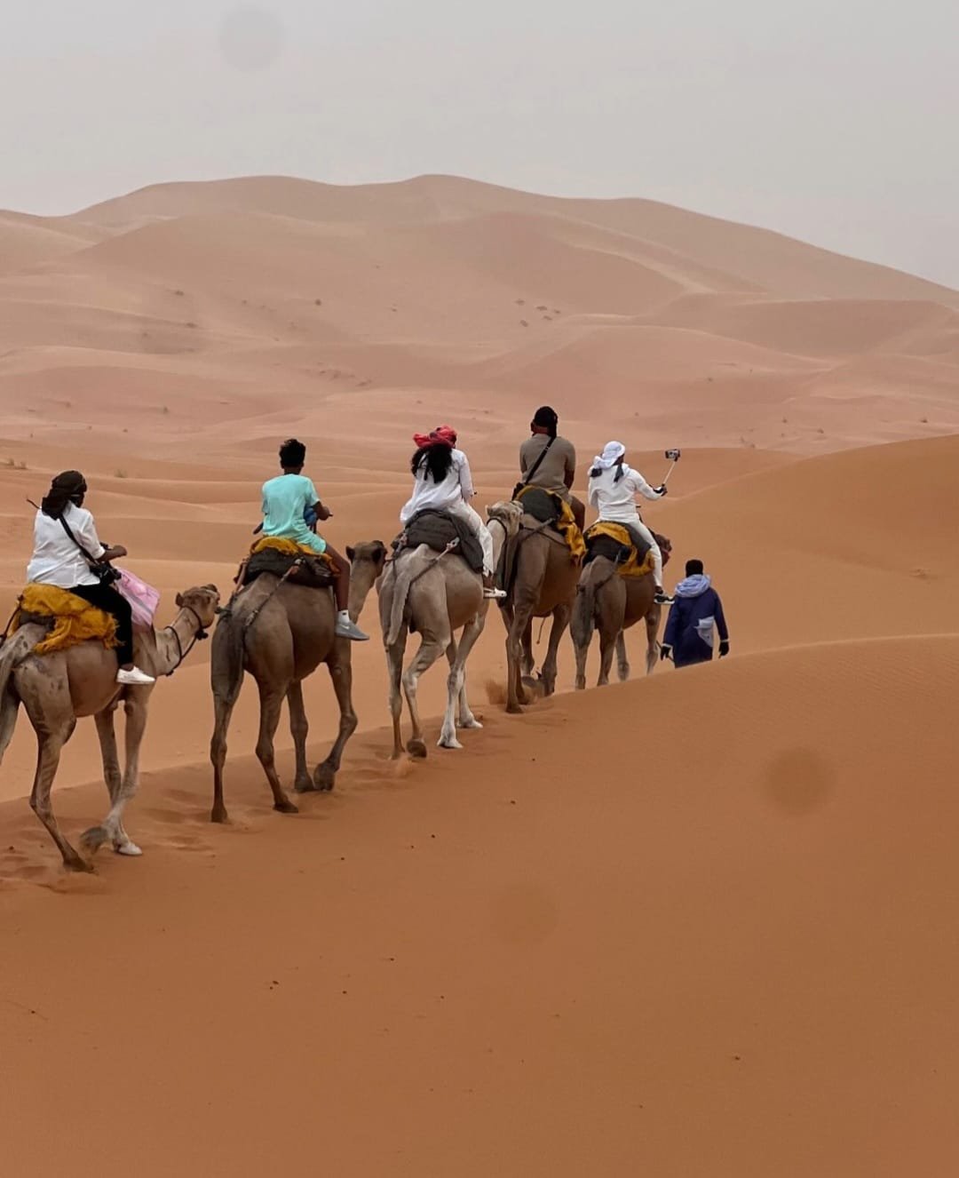 Erg Chebbi Camel Trek Sahara Sunset